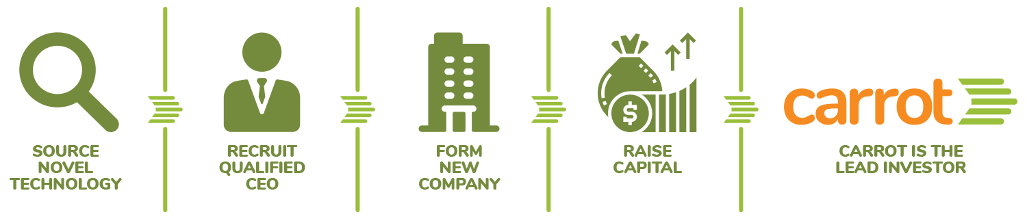 Carrot Company Formation Model