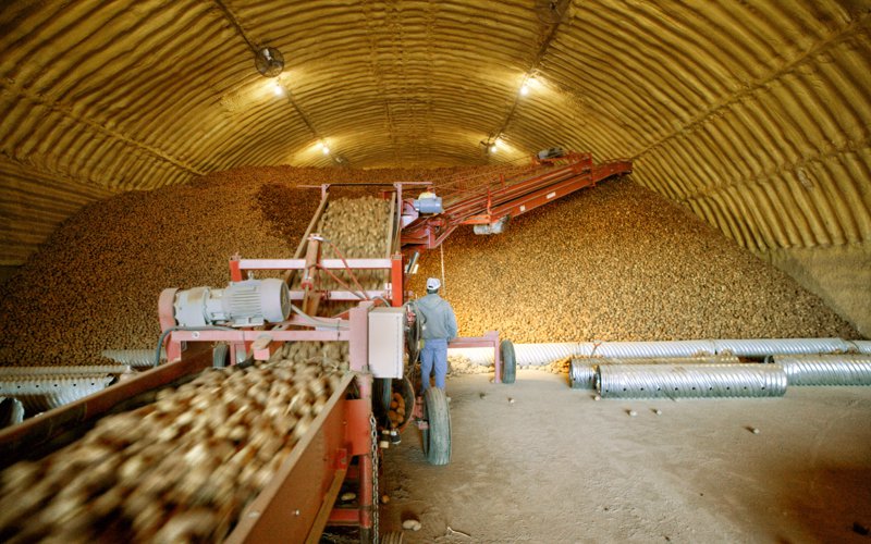 Typical Potato Storage Facility