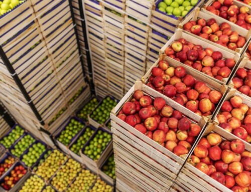 The Last Mile Is The Hardest: Innovating Food Logistics For The Next Billion
