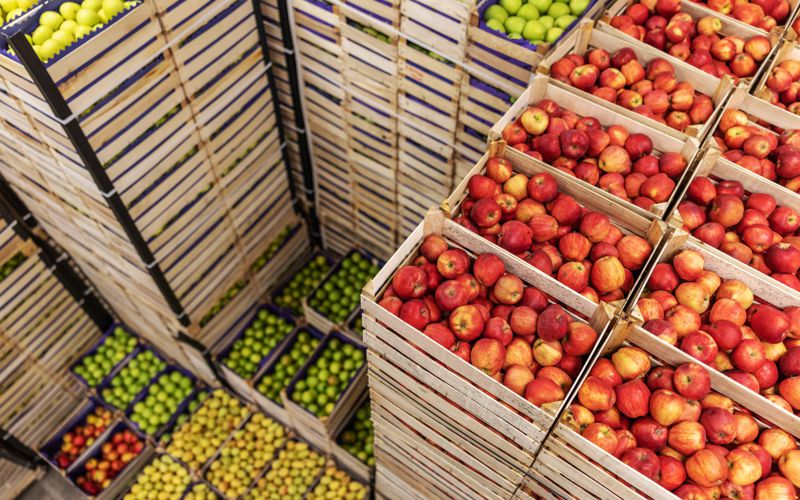 Post Harvest Logistics